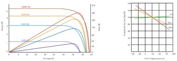 chart_l.jpg