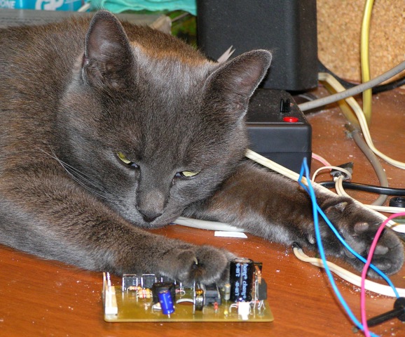 Pushka_PCB.jpg