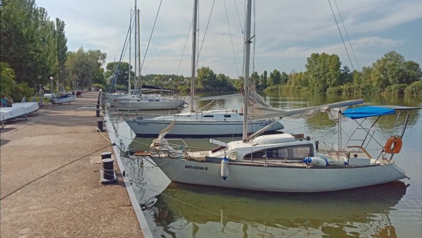 2019-08-07 15.55.36.jpg
