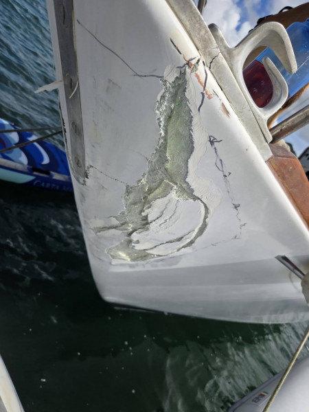 photo_2026-01-16_16-08-32 (2).jpg