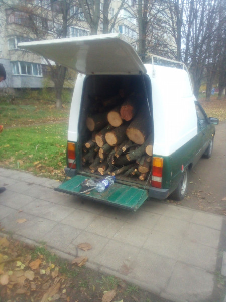 Таврія пиляє і возить аварійні дерева.jpg