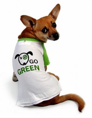 green-pet-ideas.jpg